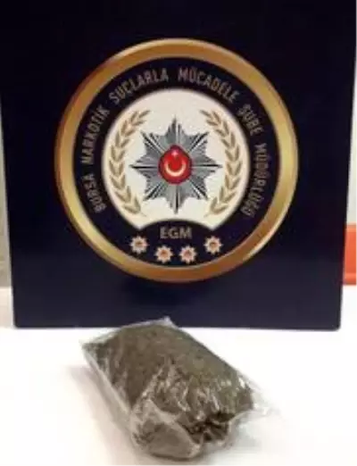 Narkotik köpeğini hesaba katmadılar! Taşın altından bile uyuşturucu çıktı Narkotik köpeğini hesaba katmadılar! Taşın altından bile uyuşturucu çıktı
