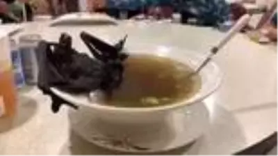 Salgının 'sıfır noktası' olan Wuhan'da vahşi hayvan yemek resmen yasaklandı Salgının 'sıfır noktası' olan Wuhan'da vahşi hayvan yemek resmen yasaklandı