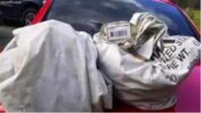 ABD bu olayı konuşuyor! Bir aile yol ortasında 1 milyon dolar buldu ABD bu olayı konuşuyor! Bir aile yol ortasında 1 milyon dolar buldu