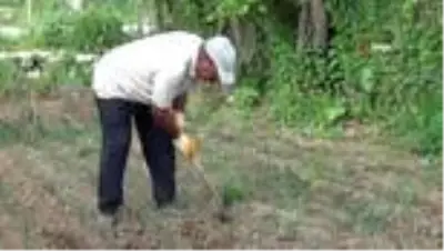Antrenörler virüs günlerini bahçede değerlendirdiler Antrenörler virüs günlerini bahçede değerlendirdiler
