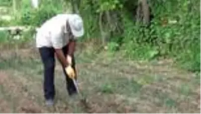 Antrenörler virüs günlerini bahçede değerlendirdiler Antrenörler virüs günlerini bahçede değerlendirdiler
