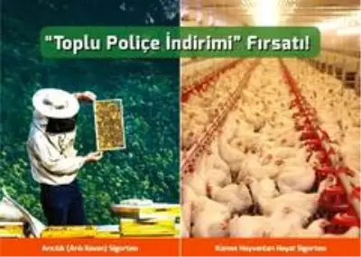 Arı yetiştiricileri ve kanatlı hayvan üreticilerine 'toplu poliçe indirimi' fırsatı