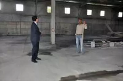 Atıl durumdaki kömürlük 500 kişiye ekmek kapısı oldu