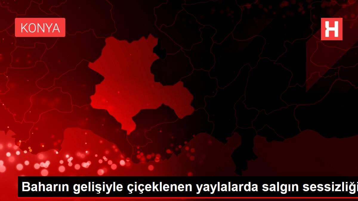 Baharın gelişiyle çiçeklenen yaylalarda salgın sessizliği