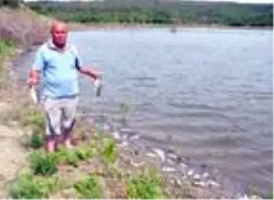 Barajdaki balık ölümlerinin nedeni sudaki oksijen değerinin düşmesi