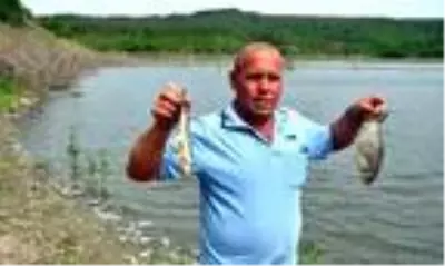 Barajdaki balık ölümlerinin nedeni sudaki oksijen değerinin düşmesi Barajdaki balık ölümlerinin nedeni sudaki oksijen değerinin düşmesi