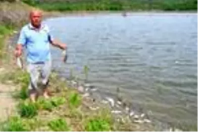 Barajdaki balık ölümlerinin nedeni sudaki oksijen değerinin düşmesi Barajdaki balık ölümlerinin nedeni sudaki oksijen değerinin düşmesi