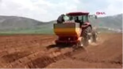 Bitlis’te patates ekimi başladı