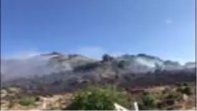 Bodrum’da makilik ve otluk alanda yangın (2)
