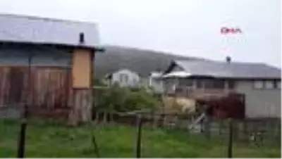 Bolu'da yaylaya kar yağdı Bolu'da yaylaya kar yağdı