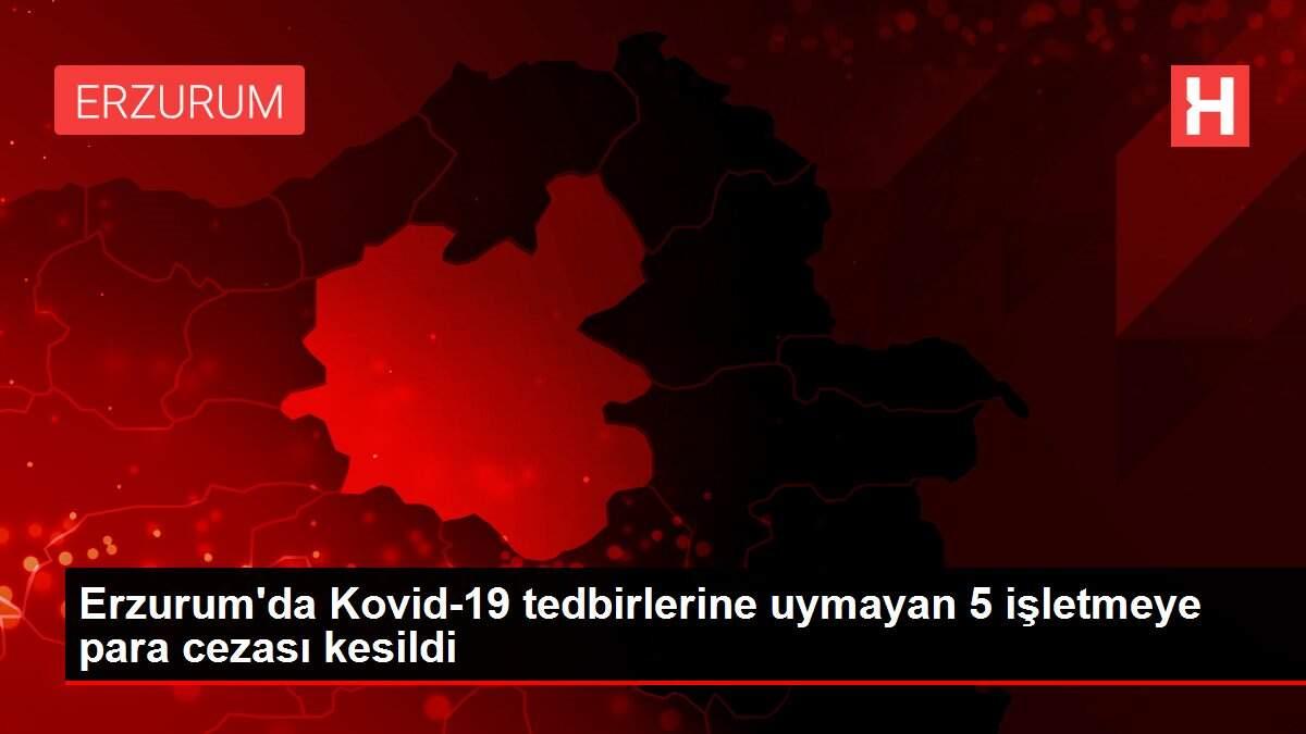 Erzurum'da Kovid-19 tedbirlerine uymayan 5 işletmeye para cezası kesildi Erzurum'da Kovid-19 tedbirlerine uymayan 5 işletmeye para cezası kesildi