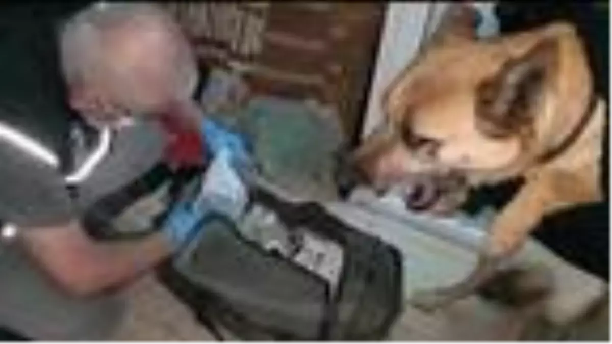 Eskişehir'de bin 114 uyuşturucu hap ele geçirildi