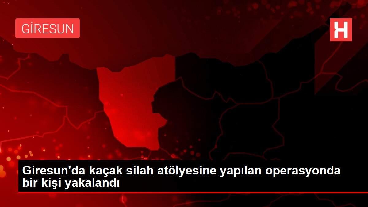 Giresun'da kaçak silah atölyesine yapılan operasyonda bir kişi yakalandı