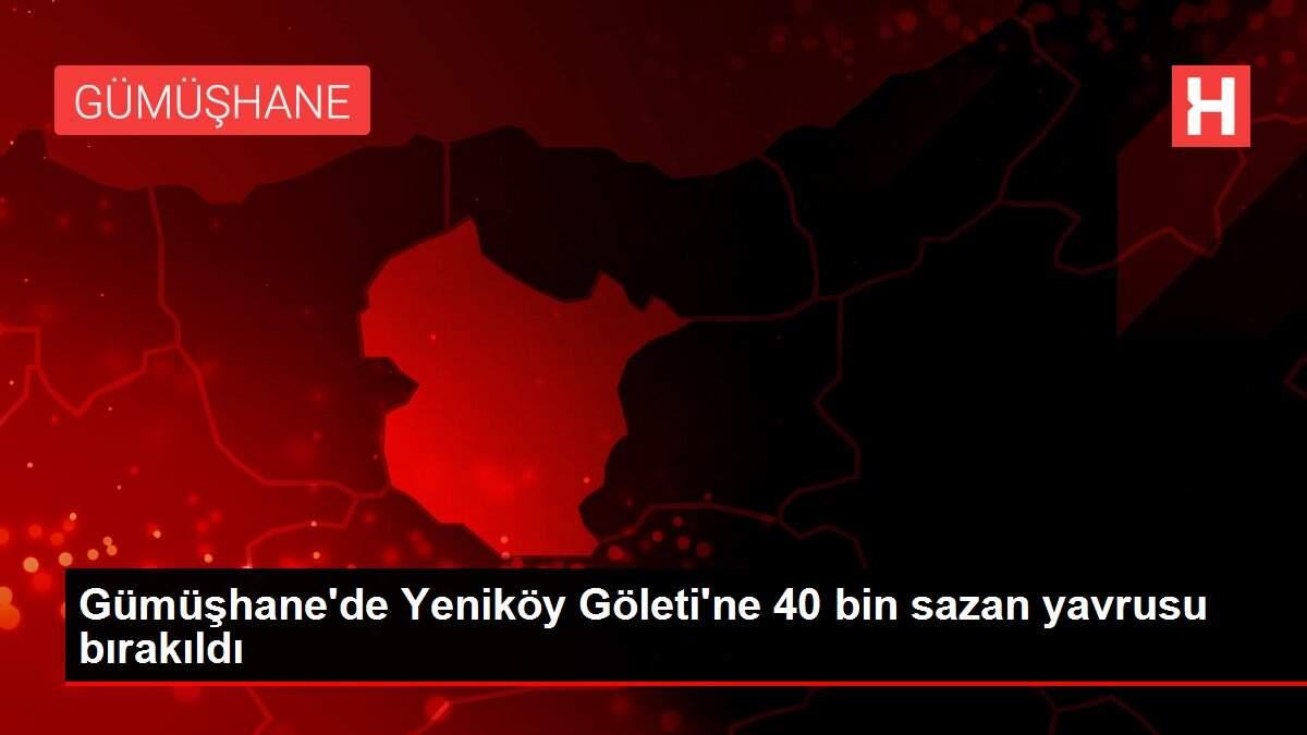 Gümüşhane'de Yeniköy Göleti'ne 40 bin sazan yavrusu bırakıldı Gümüşhane'de Yeniköy Göleti'ne 40 bin sazan yavrusu bırakıldı