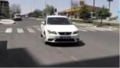 Hayvansever çift, mesai sonrası vakitlerini sokak hayvanlarına ayırıyor