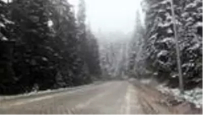 Ilgaz Dağı mayıs ayında yağan karla beyaza büründü