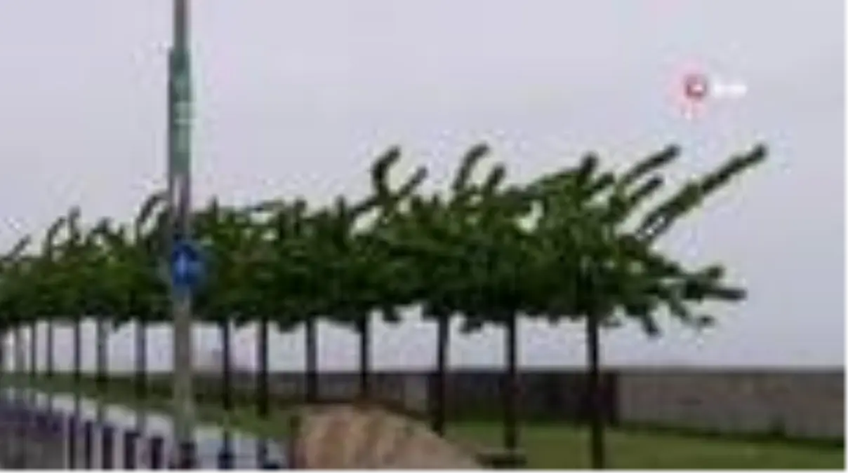 İstanbul güne yağmurla uyandı