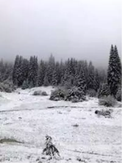 Karabük'ün yüksek kesimlerinde kar yağışı etkili oldu Karabük'ün yüksek kesimlerinde kar yağışı etkili oldu