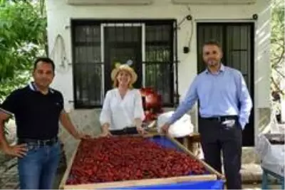 Kiraz üreticileri sabit fiyat istiyor Kiraz üreticileri sabit fiyat istiyor