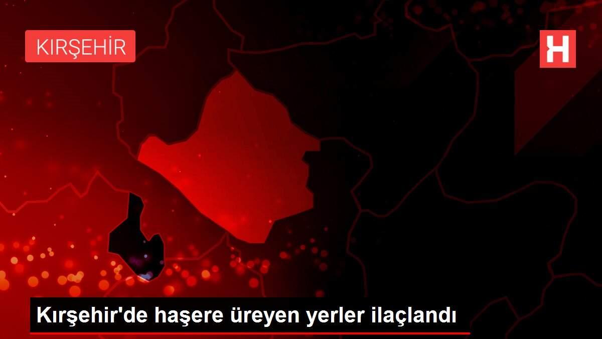 Kırşehir'de haşere üreyen yerler ilaçlandı
