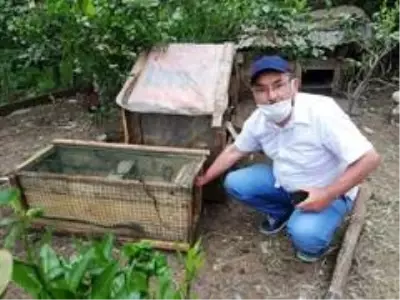 Kümesindeki yumurtaları yiyen sansarı kurduğu düzenekle yakaladı, hesap sordu, sonra doğaya saldı