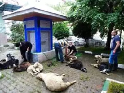 Mahalle halkı Mahalle halkı