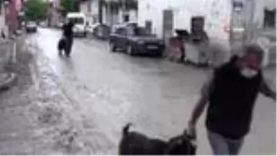Mahalle halkı 'Korona virüs bitsin' diye 11 küçükbaş, 2 büyükbaş kurban kesti Mahalle halkı 'Korona virüs bitsin' diye 11 küçükbaş, 2 büyükbaş kurban kesti