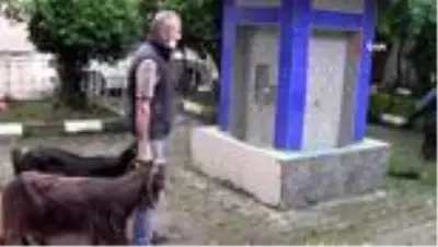Mahalle halkı 'Korona virüs bitsin' diye 11 küçükbaş, 2 büyükbaş kurban kesti Mahalle halkı 'Korona virüs bitsin' diye 11 küçükbaş, 2 büyükbaş kurban kesti