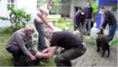 Mahalle halkı 'Korona virüs bitsin' diye 11 küçükbaş, 2 büyükbaş kurban kesti Mahalle halkı 'Korona virüs bitsin' diye 11 küçükbaş, 2 büyükbaş kurban kesti