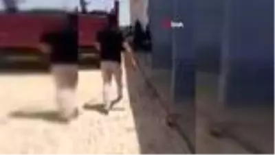 Mardin'de elektriği kesilen çiftçiler, DEDAŞ ekiplerini tehdit edip çalıştırmadı Mardin'de elektriği kesilen çiftçiler, DEDAŞ ekiplerini tehdit edip çalıştırmadı