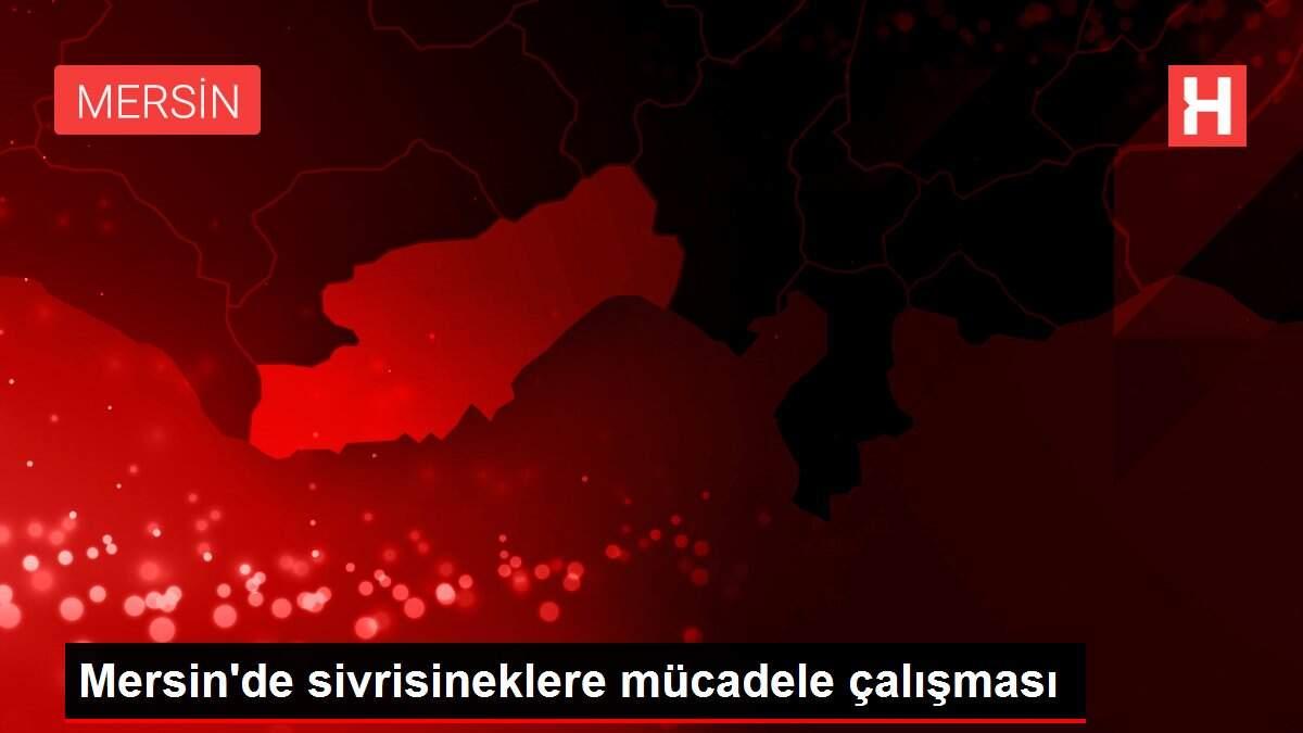 Mersin'de sivrisineklere mücadele çalışması