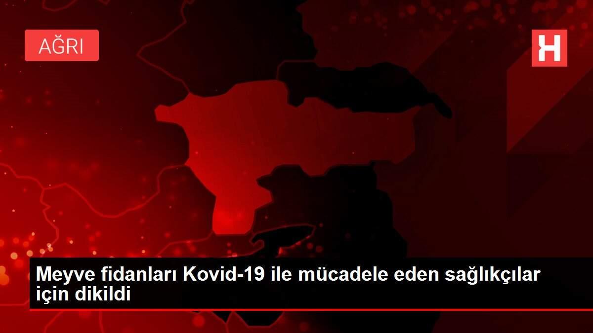 Meyve fidanları Kovid-19 ile mücadele eden sağlıkçılar için dikildi Meyve fidanları Kovid-19 ile mücadele eden sağlıkçılar için dikildi