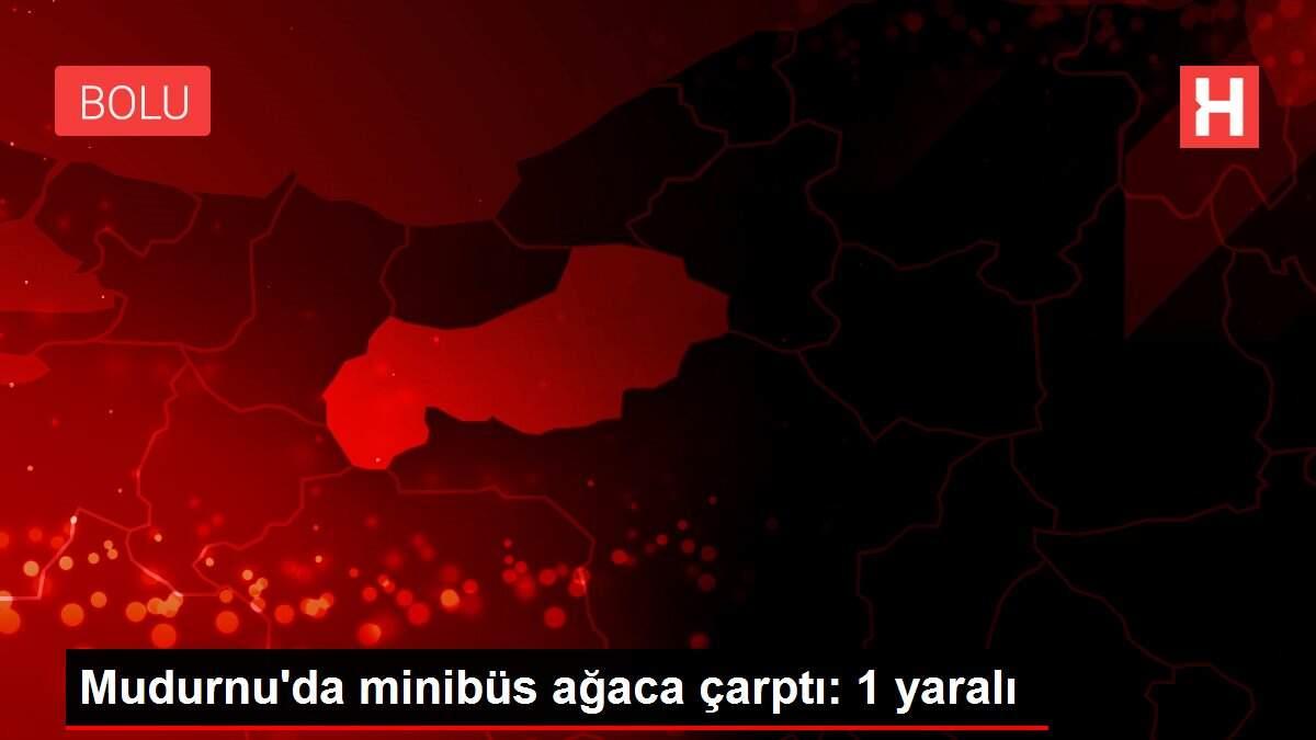Mudurnu'da minibüs ağaca çarptı: 1 yaralı