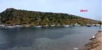 Gümüşlük Mahallesi: MUĞLA BODRUM'DA 3 BİN YILLIK ANTİK KENTTEKİ KAÇAK İNŞAATA SUÇ DUYURUSU Gümüşlük Mahallesi: MUĞLA BODRUM'DA 3 BİN YILLIK ANTİK KENTTEKİ KAÇAK İNŞAATA SUÇ DUYURUSU