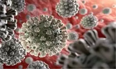 Rusya ve Türkiye'den korona virüs aşısı için ortak çalışma kararı Rusya ve Türkiye'den korona virüs aşısı için ortak çalışma kararı