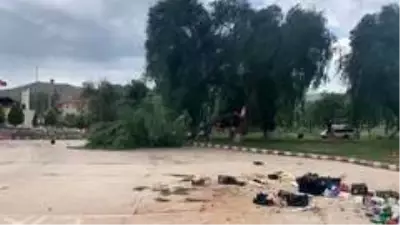 Şiddetli rüzgar ağacı ikiye böldü Şiddetli rüzgar ağacı ikiye böldü