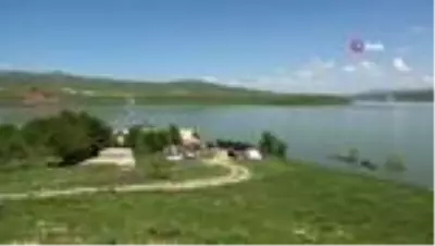 Su seviyesi yükselince yavru leylekler yuvada telef oldu