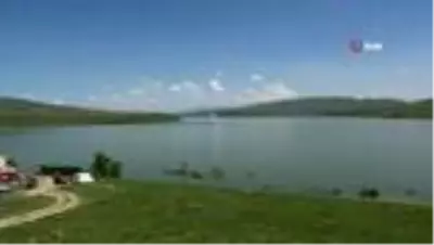 Su seviyesi yükselince yavru leylekler yuvada telef oldu Su seviyesi yükselince yavru leylekler yuvada telef oldu