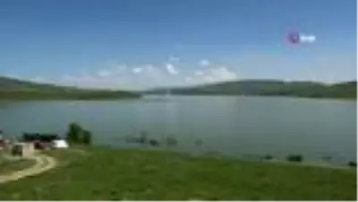 Su seviyesi yükselince yavru leylekler yuvada telef oldu Su seviyesi yükselince yavru leylekler yuvada telef oldu
