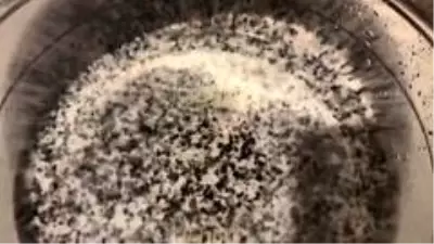 Temizlemek için söktüğü musluk filtresinde yüzlerce sinek görünce şaşkına döndü Temizlemek için söktüğü musluk filtresinde yüzlerce sinek görünce şaşkına döndü