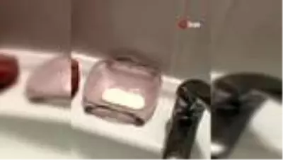 Temizlemek için söktüğü musluk filtresinde yüzlerce sinek görünce şaşkına döndü Temizlemek için söktüğü musluk filtresinde yüzlerce sinek görünce şaşkına döndü