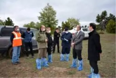 Vali Toraman: Vali Toraman: