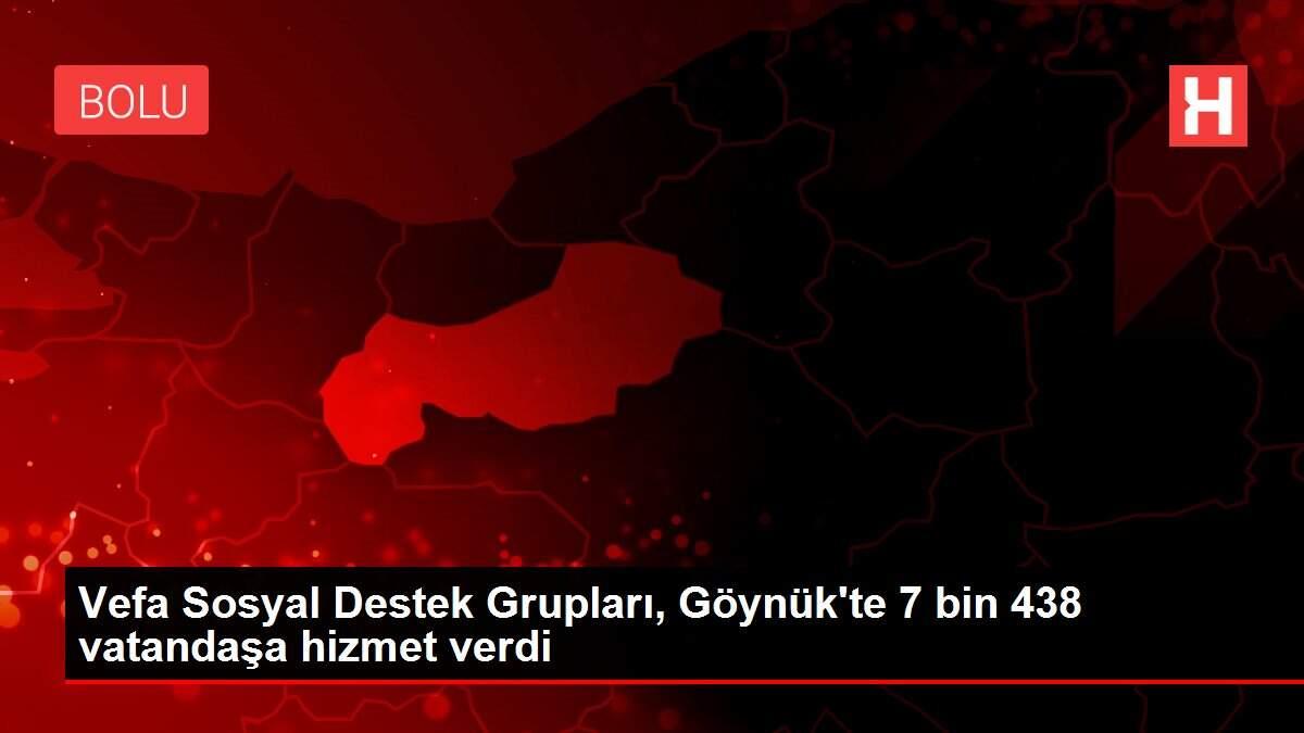 Vefa Sosyal Destek Grupları, Göynük'te 7 bin 438 vatandaşa hizmet verdi