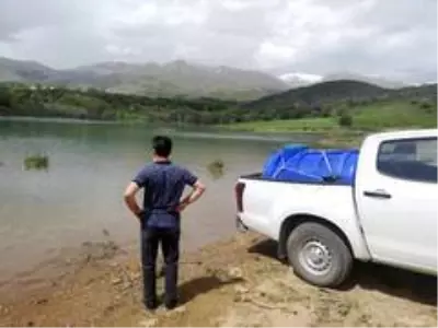 Yeniköy göletine 40 bin sazan yavrusu bırakıldı Yeniköy göletine 40 bin sazan yavrusu bırakıldı