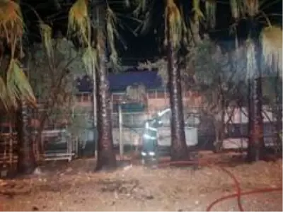 Yüksek gerilim palmiyeleri, palmiyeler de kamyonu yaktı