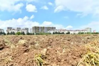 2. Yaşam Bahçesi için çalışmalar başladı 2. Yaşam Bahçesi için çalışmalar başladı