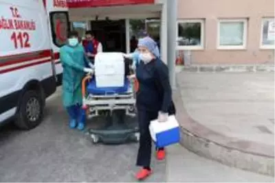 24 yaşındaki gencin organları 7 hastaya umut oldu 24 yaşındaki gencin organları 7 hastaya umut oldu