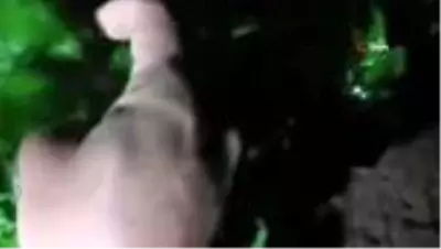 Afyonkarahisar'da tarım arazilerini don vurdu Afyonkarahisar'da tarım arazilerini don vurdu