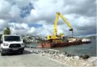Akdeniz foklarının üreme alanında kepçeli çalışma tepki çekti
