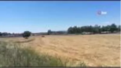Anız yangınına ilk müdahaleyi ağaç dallarıyla yaptılar Anız yangınına ilk müdahaleyi ağaç dallarıyla yaptılar